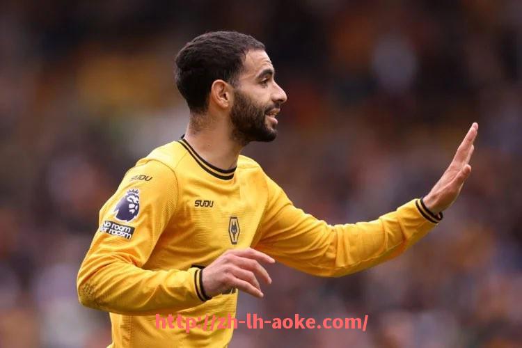 澳客足彩-德甲最强球队排名及中国球迷关注焦点